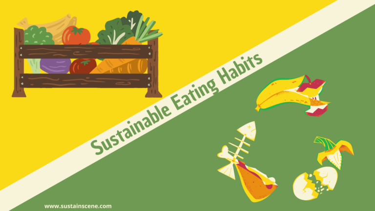 7 Easy Ways to Incorporate Sustainable Eating Habits Today